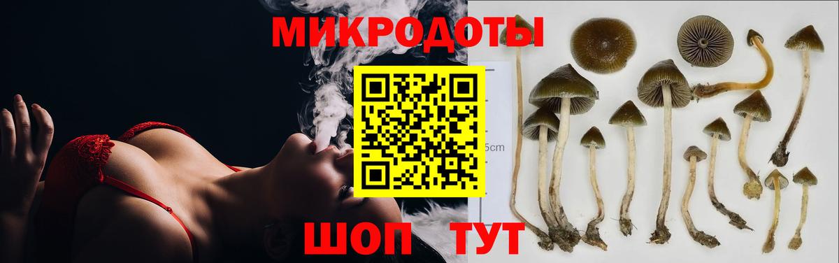 Псилоцибиновые грибы ЛСД  Вход с VPN  Крымск 